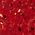 Color Swatch - Gold/Red