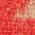 Color Swatch - Red