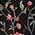 Color Swatch - Black Ground Floral