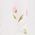 Color Swatch - Ivory