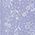 Color Swatch - Blue