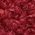 Color Swatch - Red