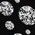 Color Swatch - Shiny Black with Strass Front