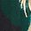 Color Swatch - Green