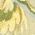 Color Swatch - Gilded Marble