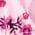 Color Swatch - Floral