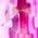 Color Swatch - Pink Multi
