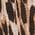 Color Swatch - Animal