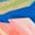 Color Swatch - Multi