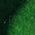 Color Swatch - Green