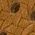 Color Swatch - Cognac