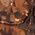 Color Swatch - Brown