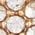 Color Swatch - Crystal/Gold