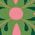 Color Swatch - Pink Green