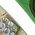 Color Swatch - Green