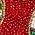 Color Swatch - Red Multi