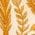 Color Swatch - Brown