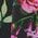 Color Swatch - Floral