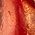Color Swatch - Red