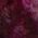 Color Swatch - Purple