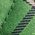 Color Swatch - Green