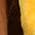 Color Swatch - Yellow