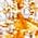 Color Swatch - Gold