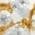 Color Swatch - Gold