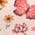 Color Swatch - Pink