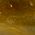 Color Swatch - Gold