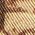 Color Swatch - Brown