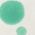 Color Swatch - Sage Green