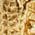 Color Swatch - Gold