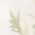 Color Swatch - Floral