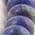 Color Swatch - Blue