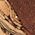 Color Swatch - Brown