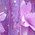 Color Swatch - Purple
