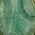 Color Swatch - Green