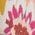 Color Swatch - Floral