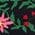 Color Swatch - Rosette