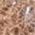 Color Swatch - Brown