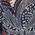Color Swatch - Black/Multi