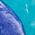 Color Swatch - Blue