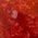 Color Swatch - Red