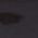 Color Swatch - Black