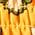 Color Swatch - Yellow