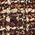 Color Swatch - Brown