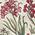 Color Swatch - Floral