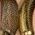 Color Swatch - Gold