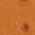 Color Swatch - Amber